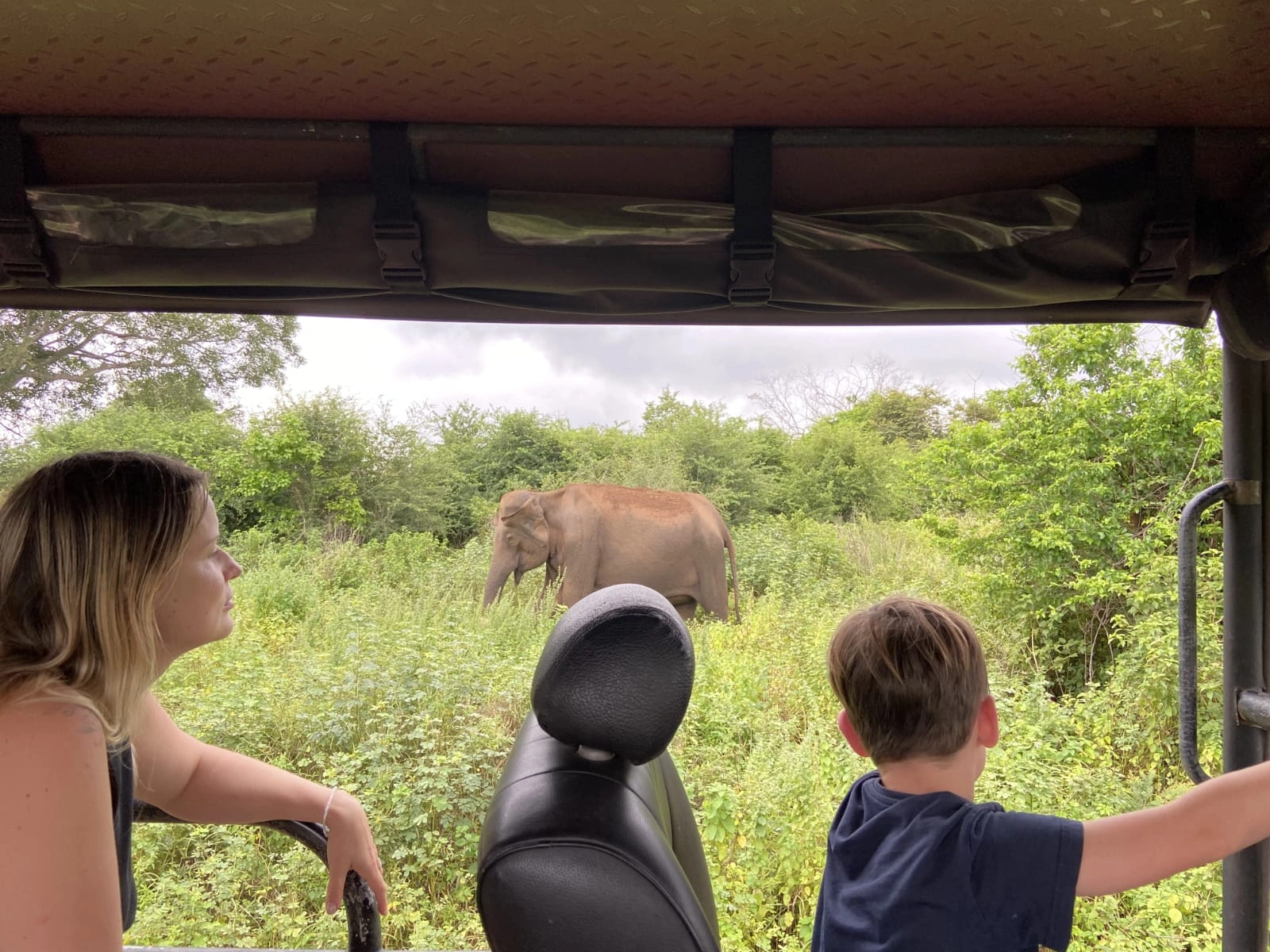 title="Experience an exciting wildlife safari in one of Sri Lanka's renowned national parks." Picture of a Safari