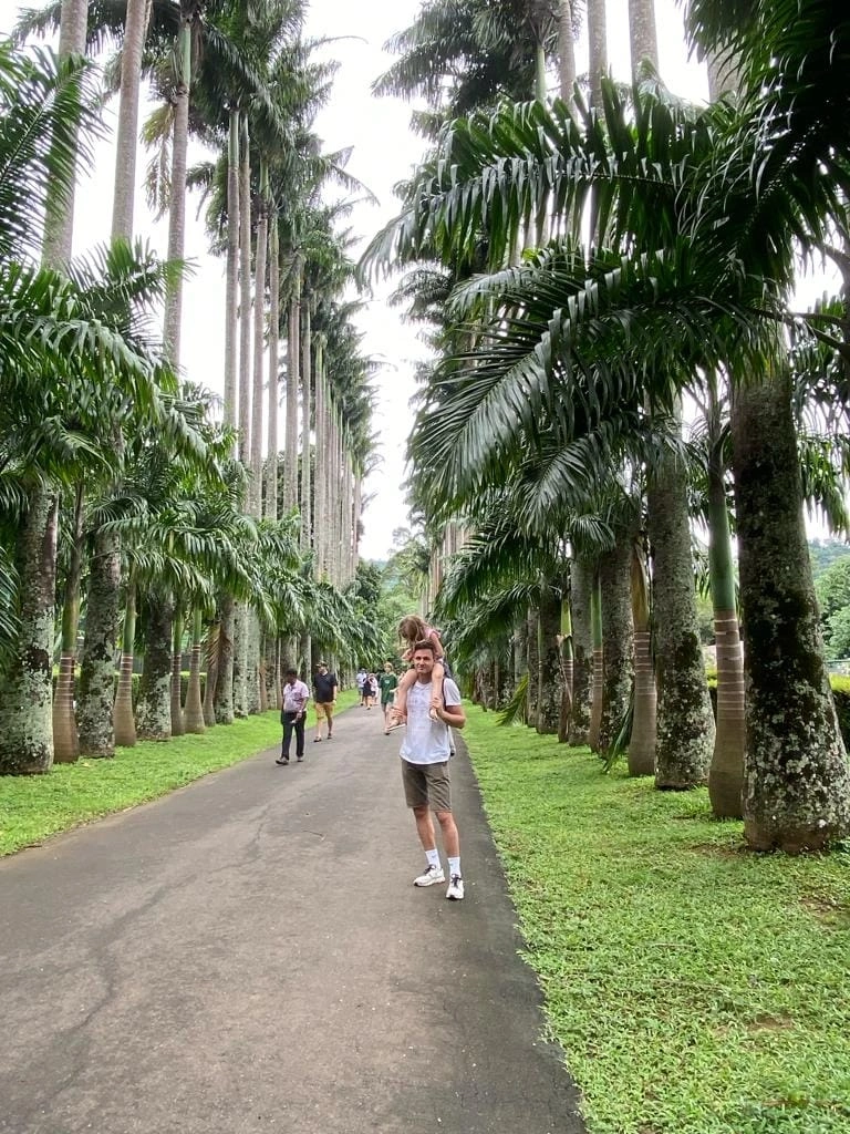 Picture of a Botanica Garden