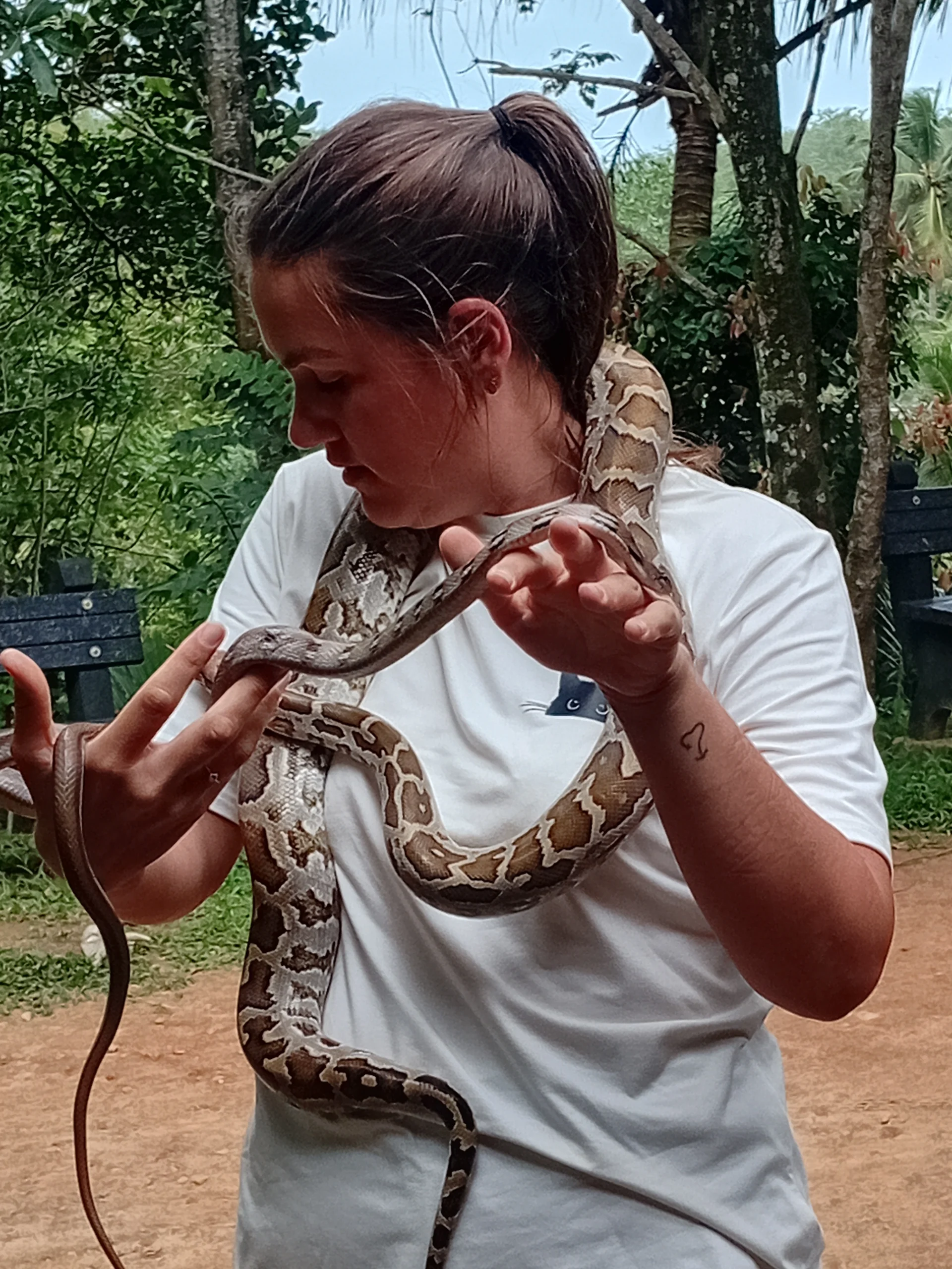 At a Snake Farm