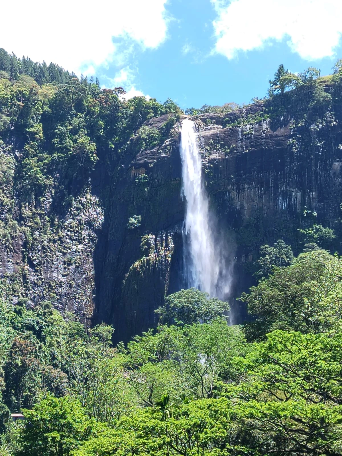 <a href="https://wa.me/94741209770" title="Chat with us on WhatsApp"> WhatsApp </a> Ravana Waterfall in Ella