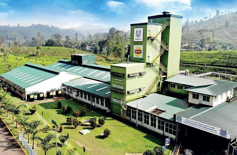 Tea Plantations & Tea Factory in Nuwara Eliya – Experience World-Famous Ceylon Tea