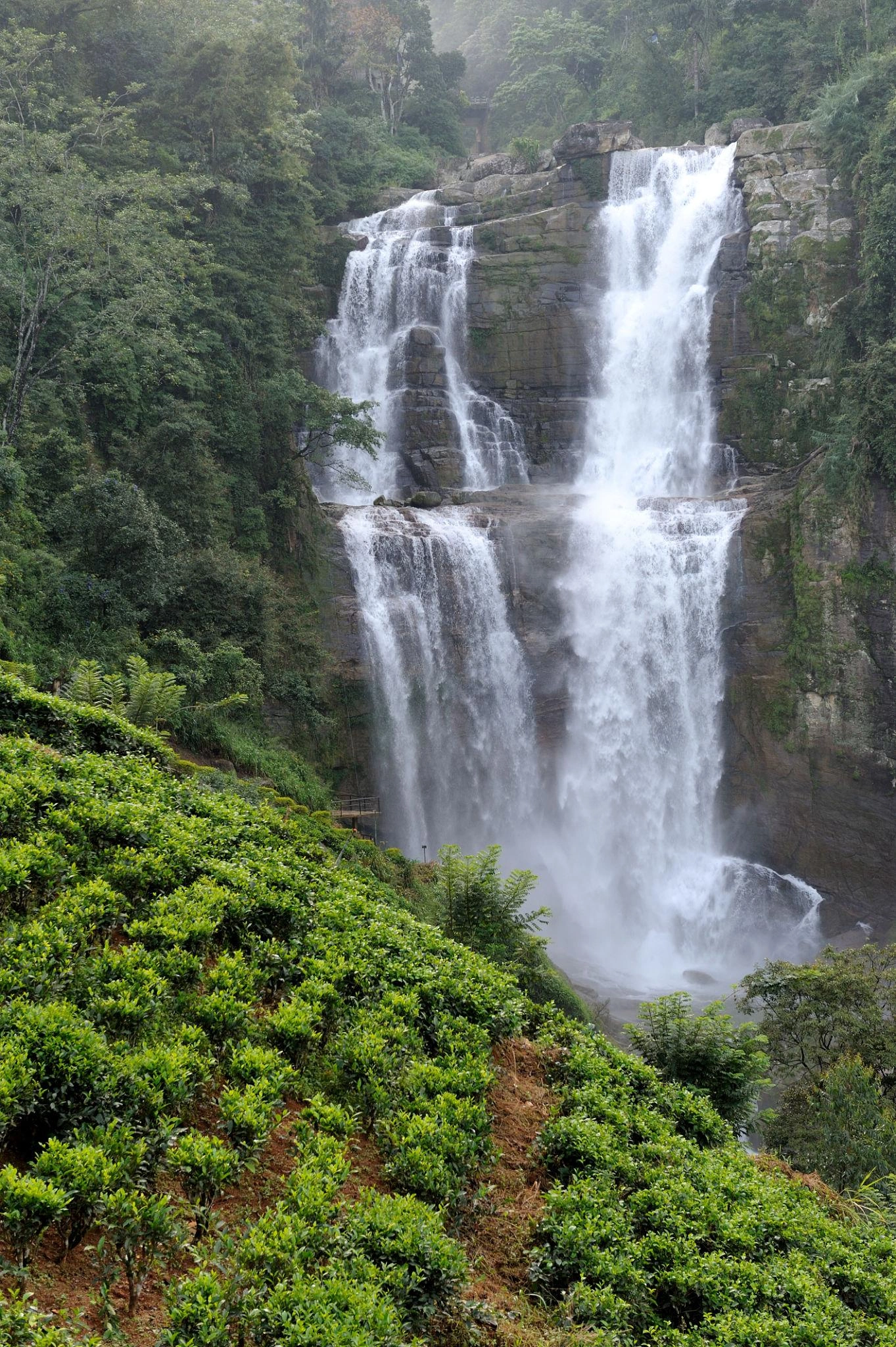 Title Attribute: Ravana Falls in Ella – One of Sri Lanka's Most Beautiful Waterfalls